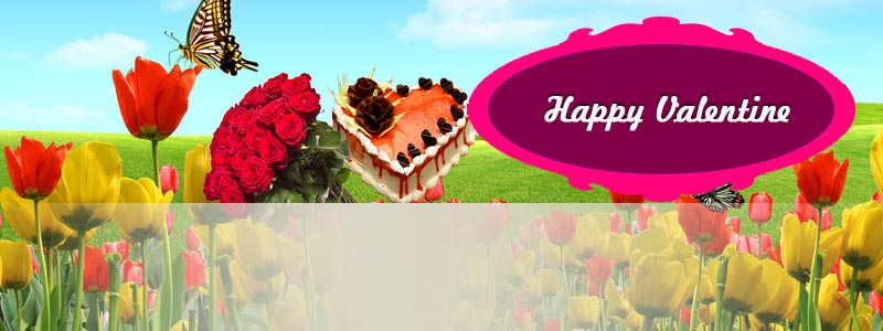 Cake Delivery Noida